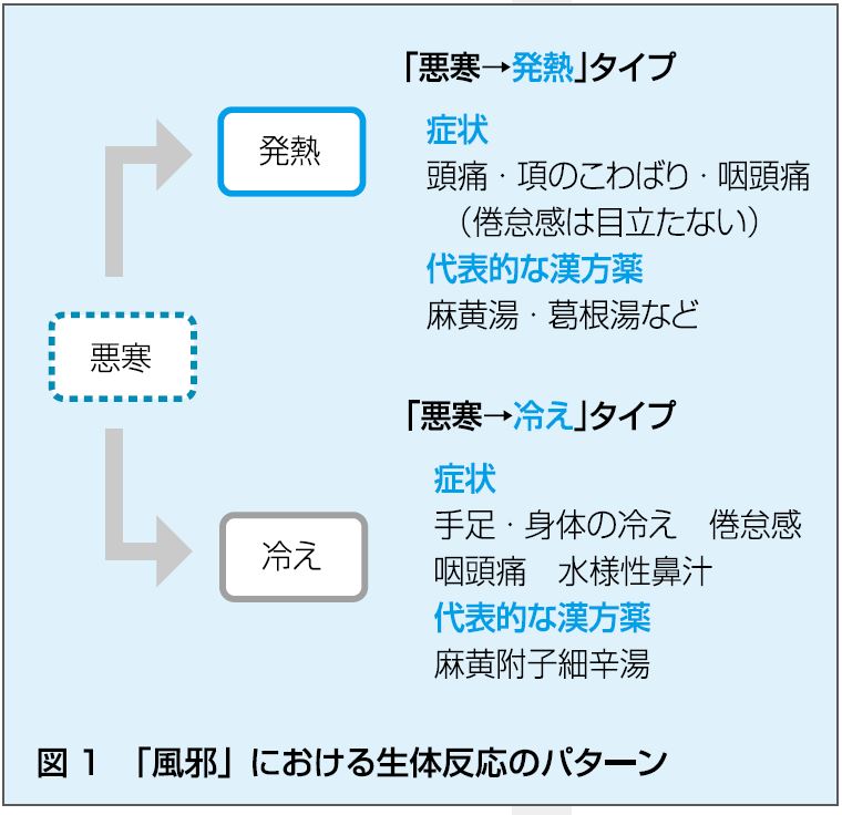 https://www.primarycare-japan.com/pics/news/news-33-1.jpg