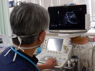 https://www.primarycare-japan.com/pics/news/news-466-9.jpg