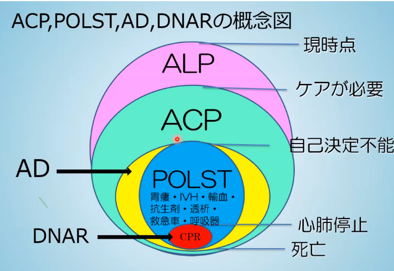 https://www.primarycare-japan.com/pics/news/news-84-1.png