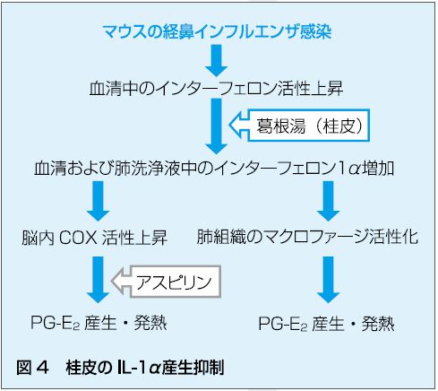 https://www.primarycare-japan.com/pics/news/news-98-10.jpg